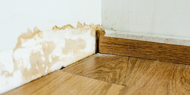 Water Damage Repair What You Need to Know Before Calling a Contractor